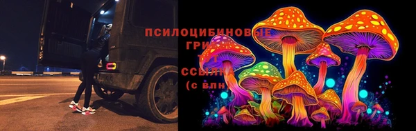 мет Абинск