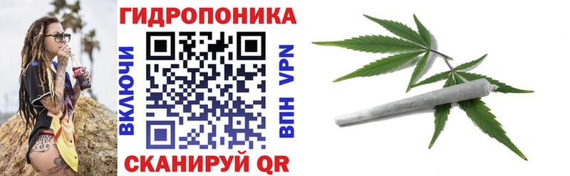 Бошки марихуана план Котельнич